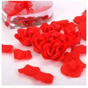 Romantické okvětní lístky růže - Růžová